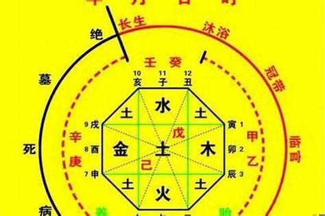 八字兩|生辰八字算命、五行喜用神查詢（免費測算）